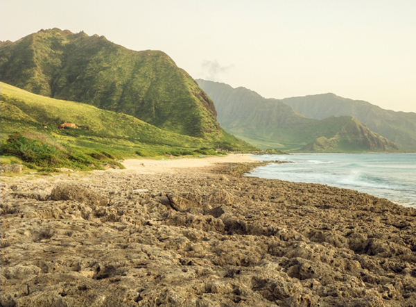 미국 하와이 케아와올라, NSA가 도청하는 광섬유 케이블 육양국